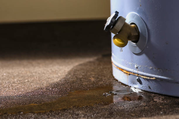 Best Mold removal after water damage  in Miamitown, OH