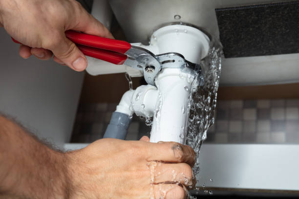 Best Professional water damage repair  in Miamitown, OH