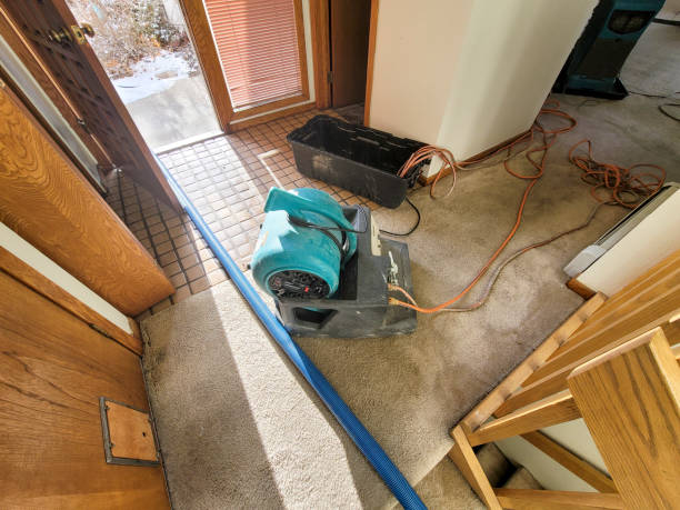 Best Water damage restoration near me  in Miamitown, OH