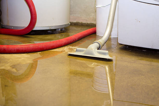 Best Professional water damage repair  in Miamitown, OH