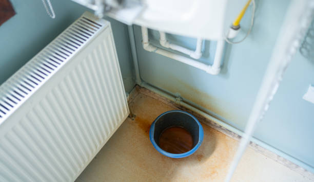 Best Flood restoration services  in Miamitown, OH